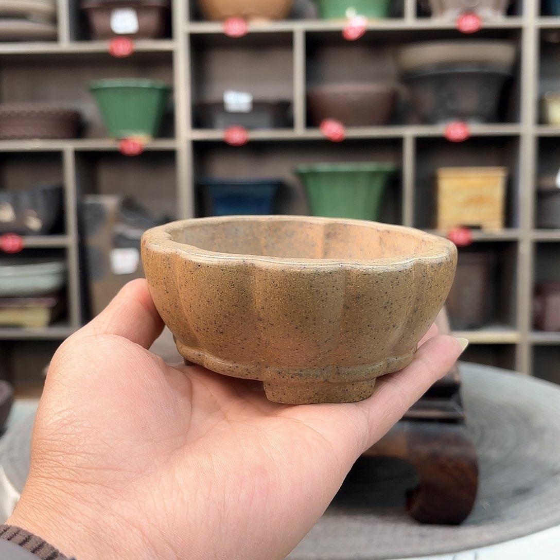 紫砂花盆荣*紫砂的颜色很