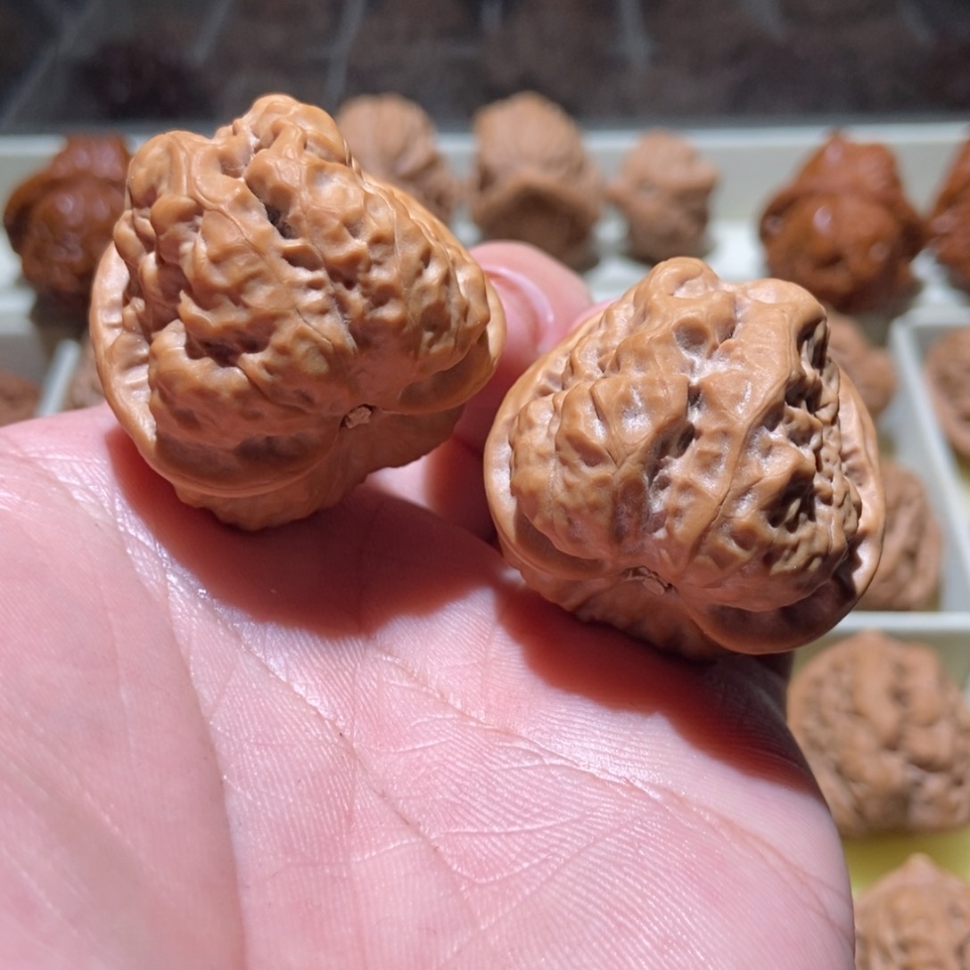 把件文玩核桃当****年36蛤蟆