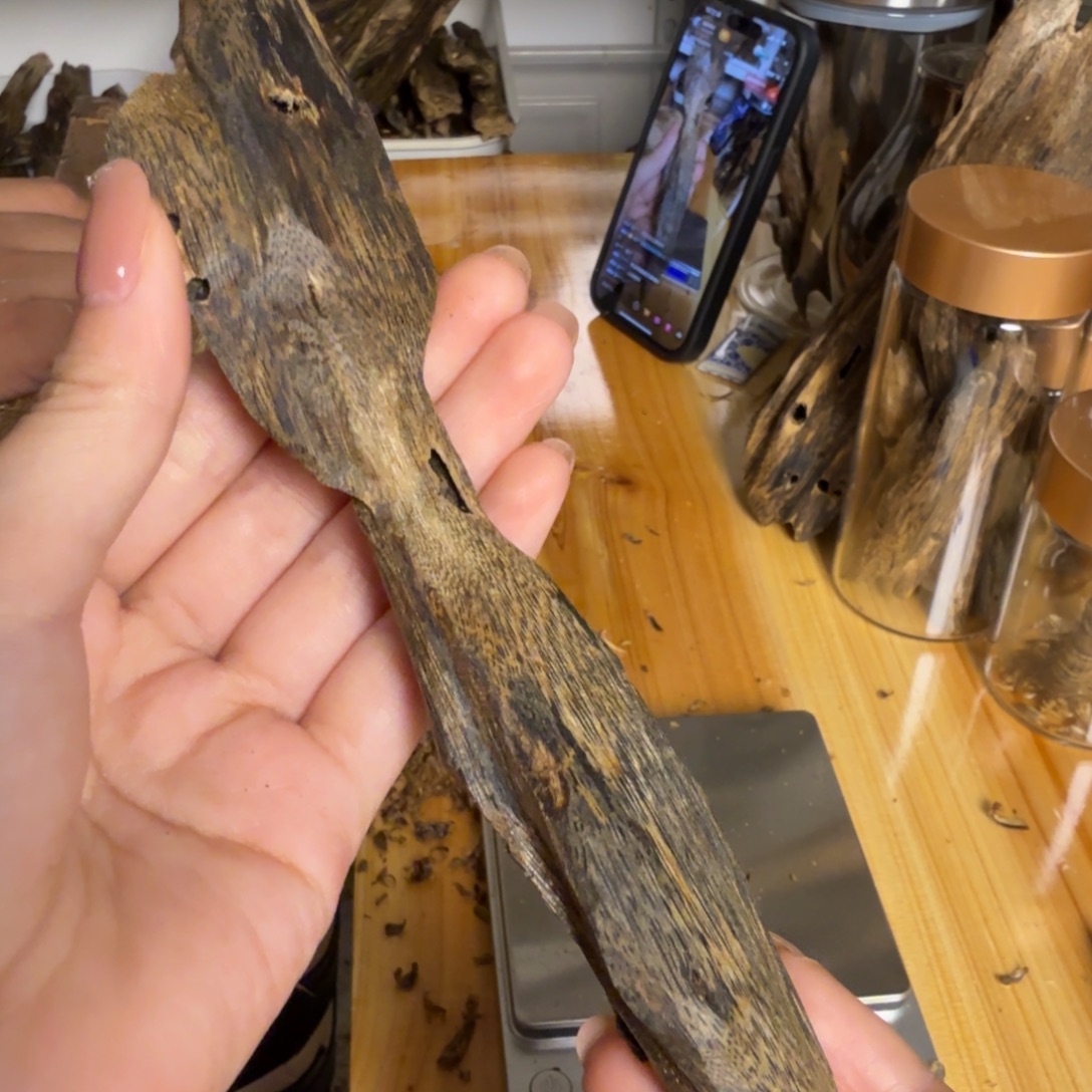 沉香白奇淳化虫漏老料22克