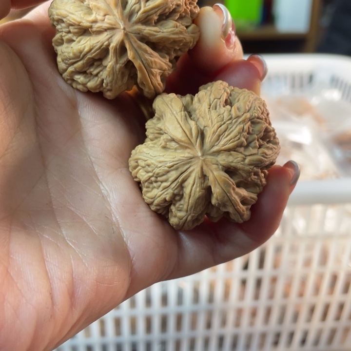 文玩核桃把件40大粗筋68米