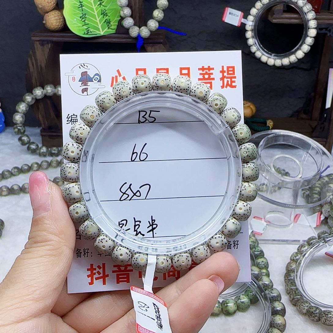 心月星月菩提一号B5