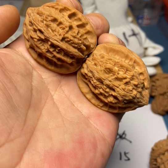 把件文玩核桃3号核桃东