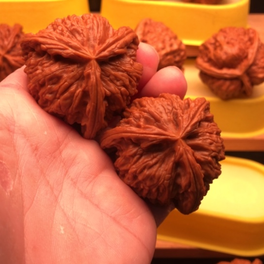 仙***！核桃核桃核桃核桃核桃