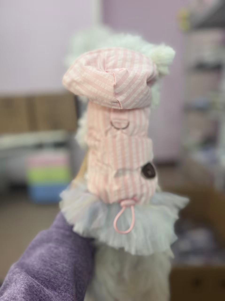 （直播间选款）宠物服饰，不退不换 700-799