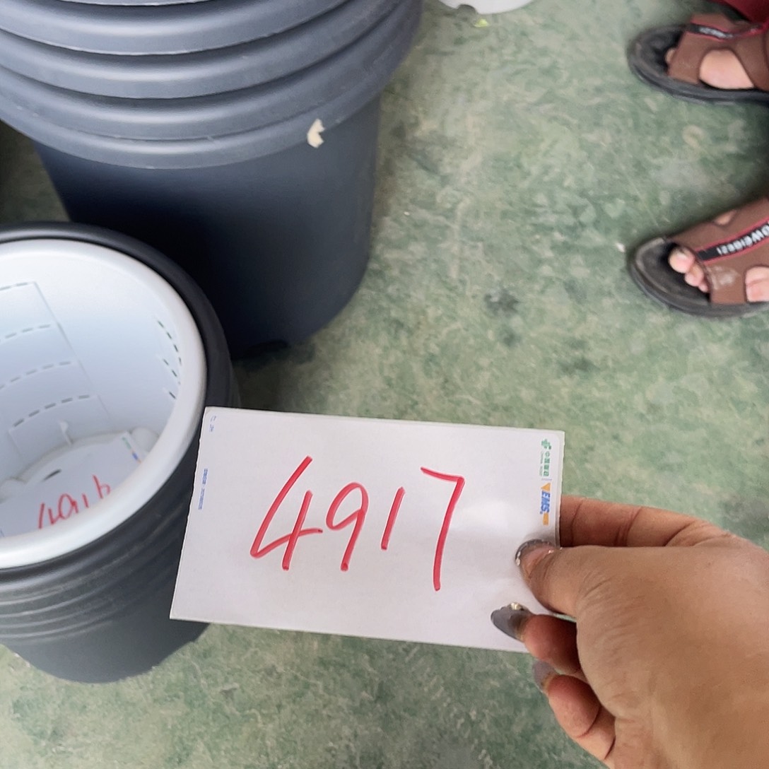 编号是4917的编号