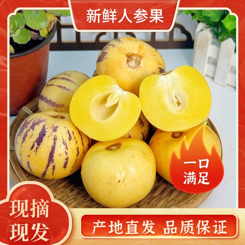 云南高原树上熟黄肉人参果精品果新鲜清甜多汁当季水果不催熟