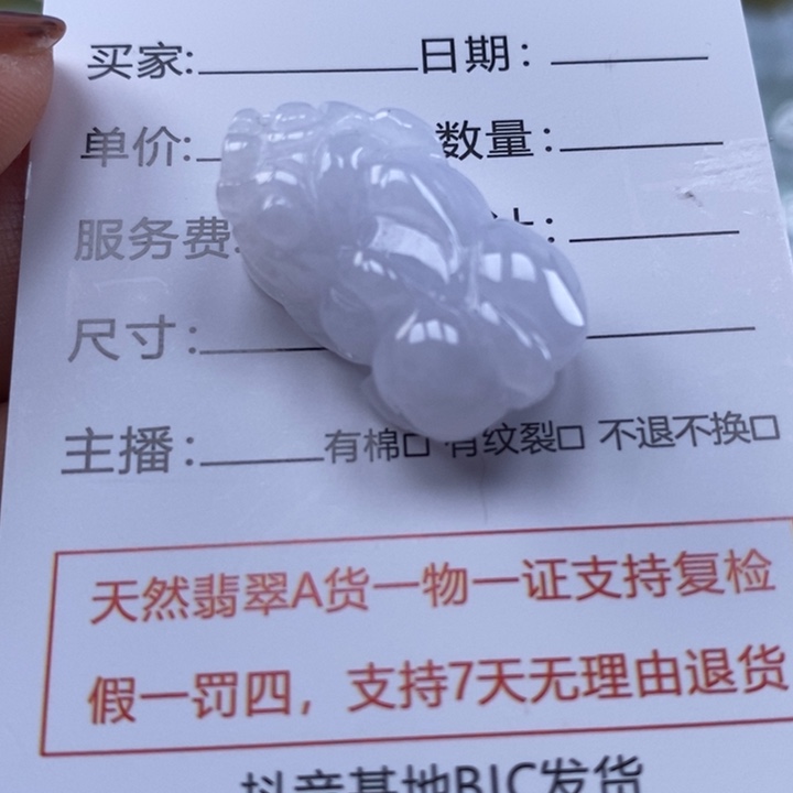 颈饰未镶嵌翡翠貔貅