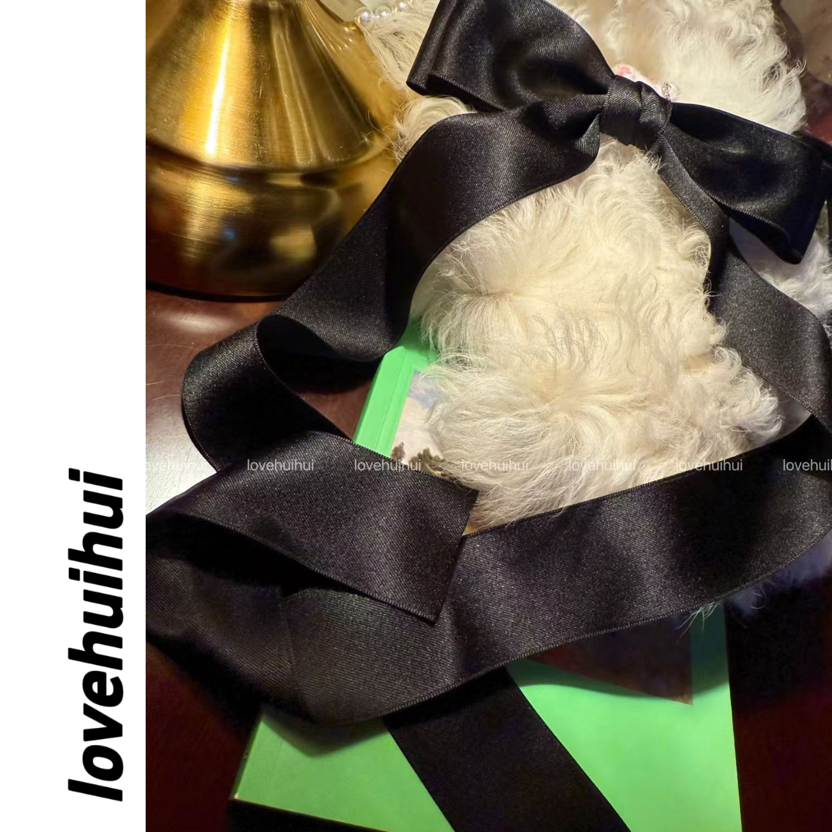 lovehuihui《翩翩起舞的优雅少女》韩国蝴蝶结超长丝带