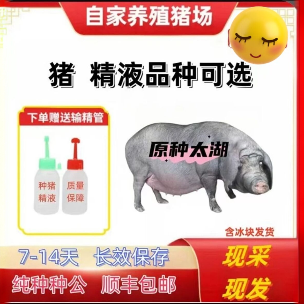 优质太湖母猪公猪精液包对版生态养殖猪用耗材