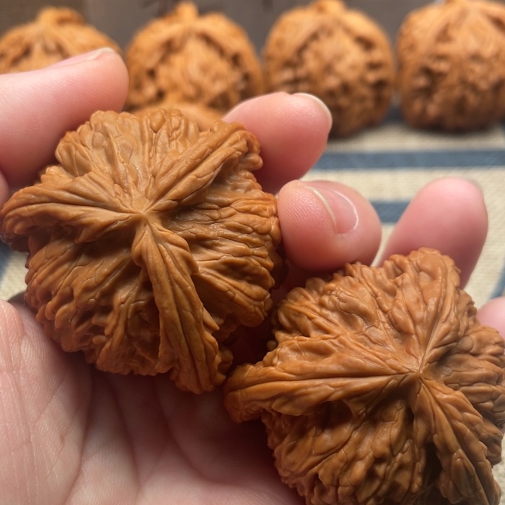 用***9石楠木白狮子43核桃