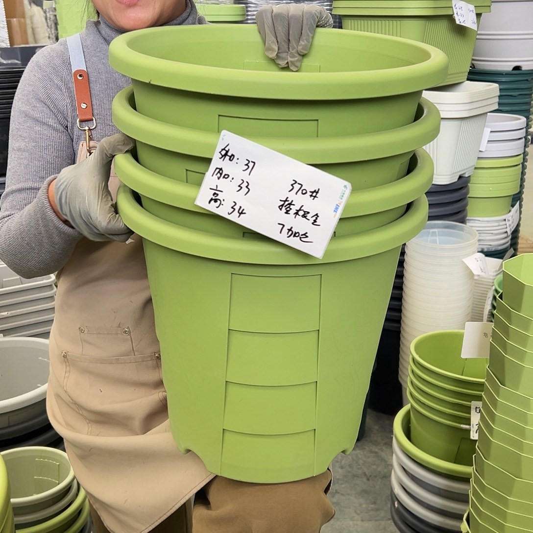 玫瑰420#果绿色4个无托