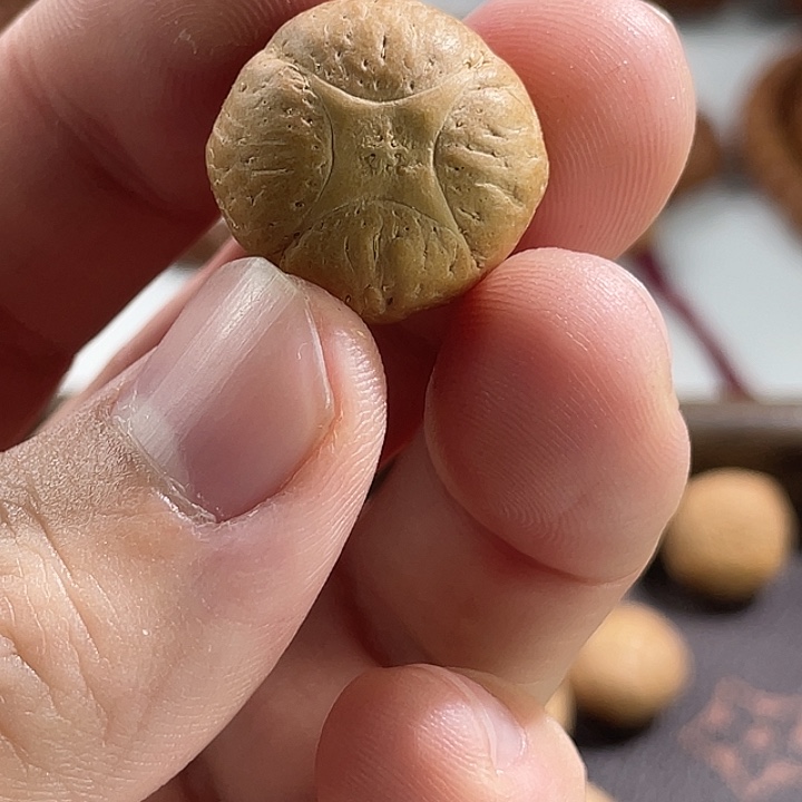 1***F凤眼菩提手串尼泊尔小fy