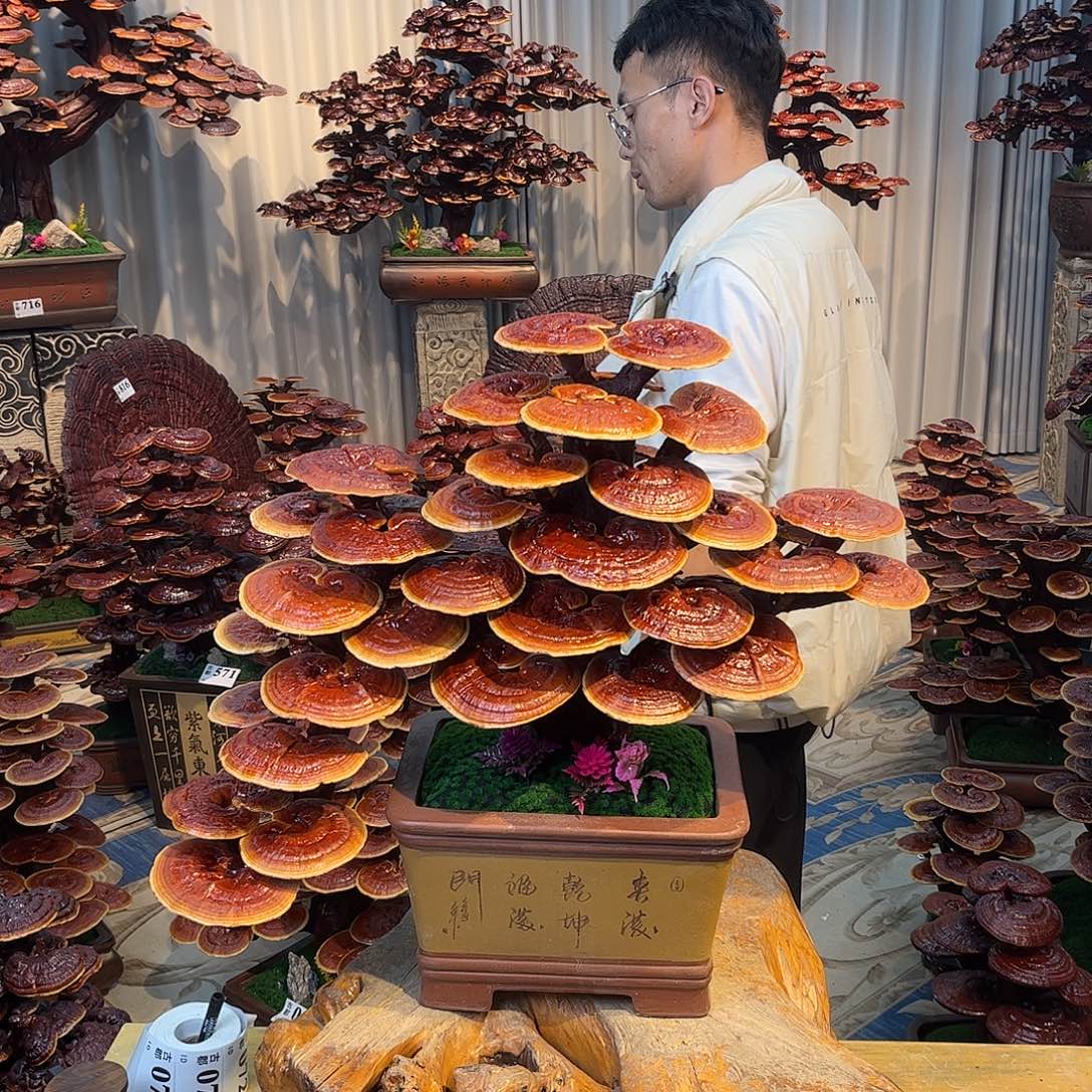 无花朵58888888888