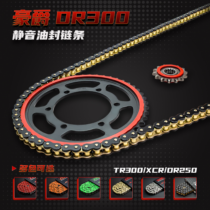 适用豪爵DR300/TR300/XCR300/DR250静音牙盘油封链条三件套10倍