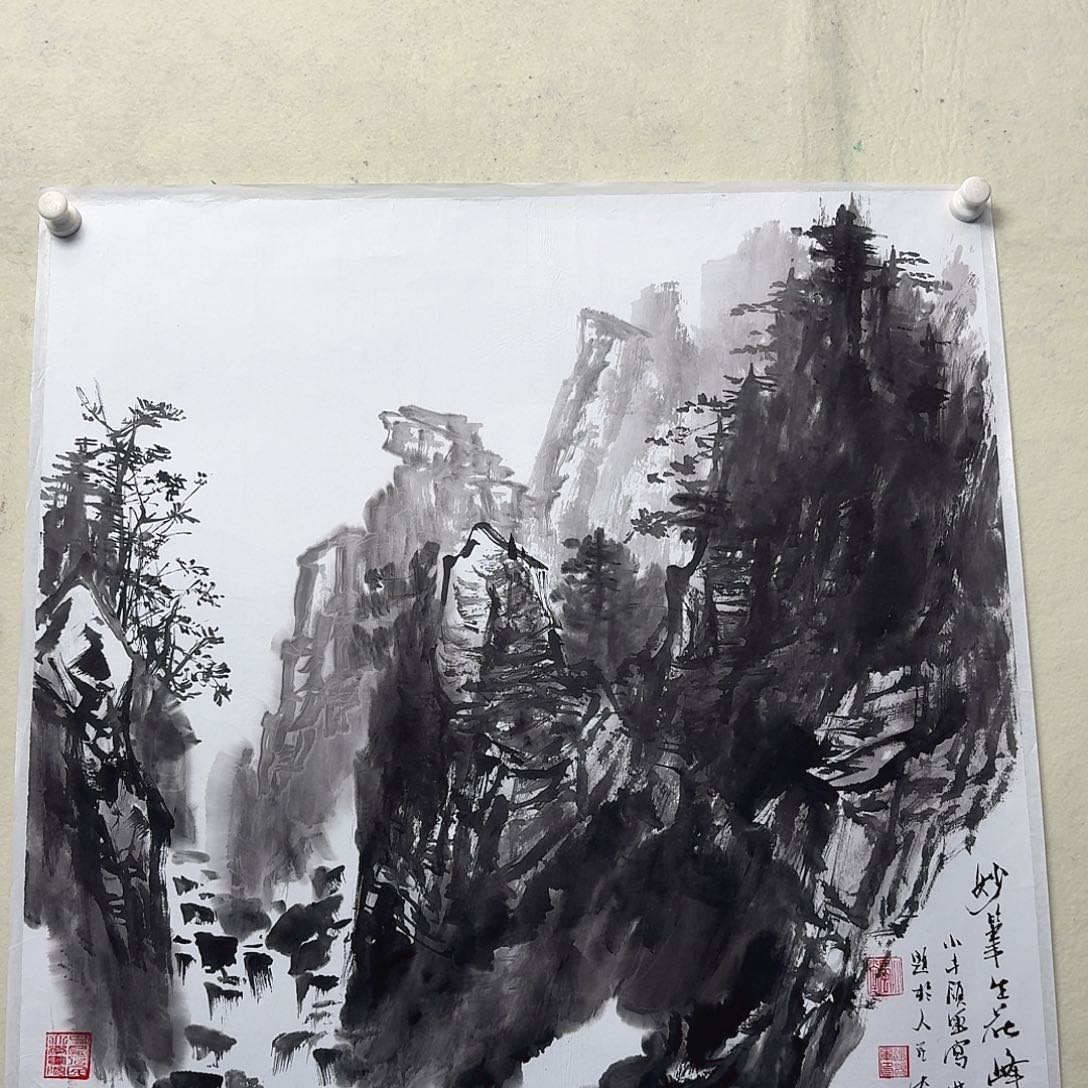 国画写生作品山水16