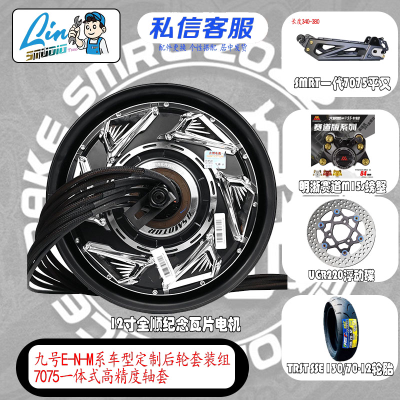 （林邶推荐）新国标九号后轮定制直上一套套装smrt平叉全顺12寸电机