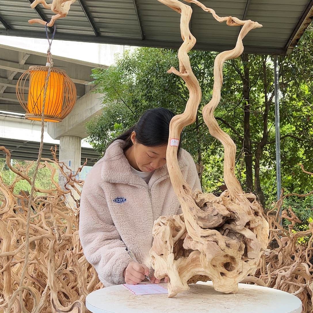 露***鹭木我是一只小小鸟地域鬼