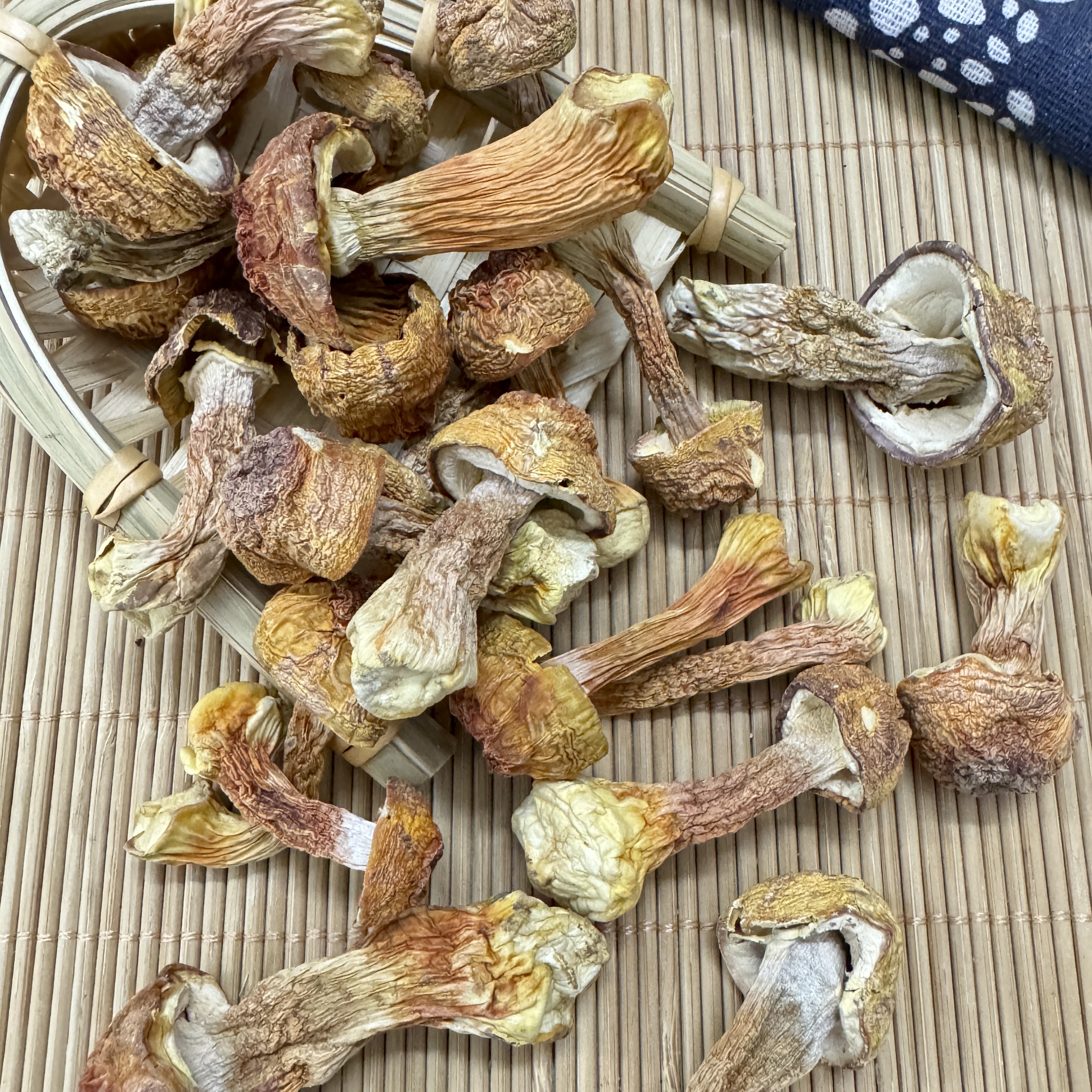 精选无硫姬松茸   【非鱼胶】