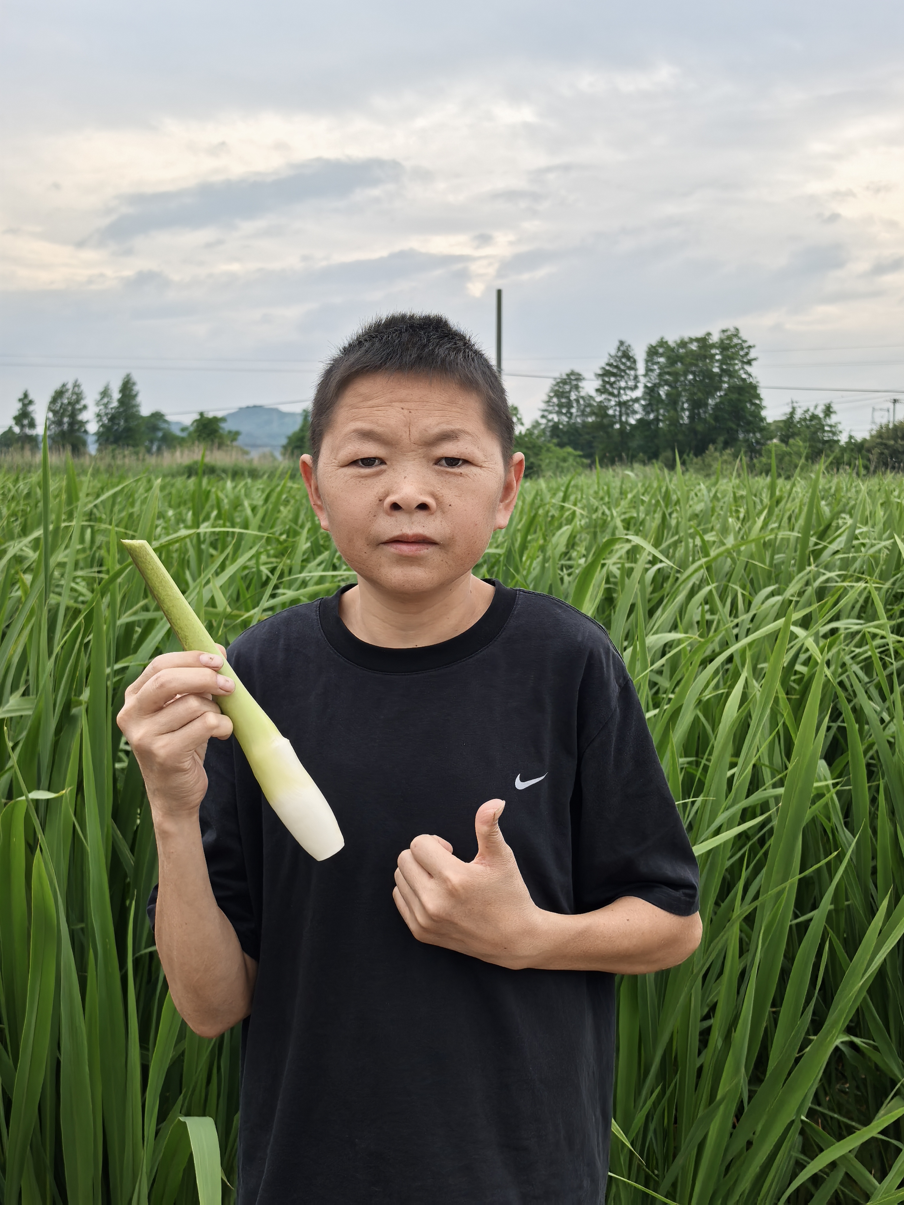 2025年宁波奉化本地新鲜头茬茭白带壳3斤[现采现发]茭白炒肉