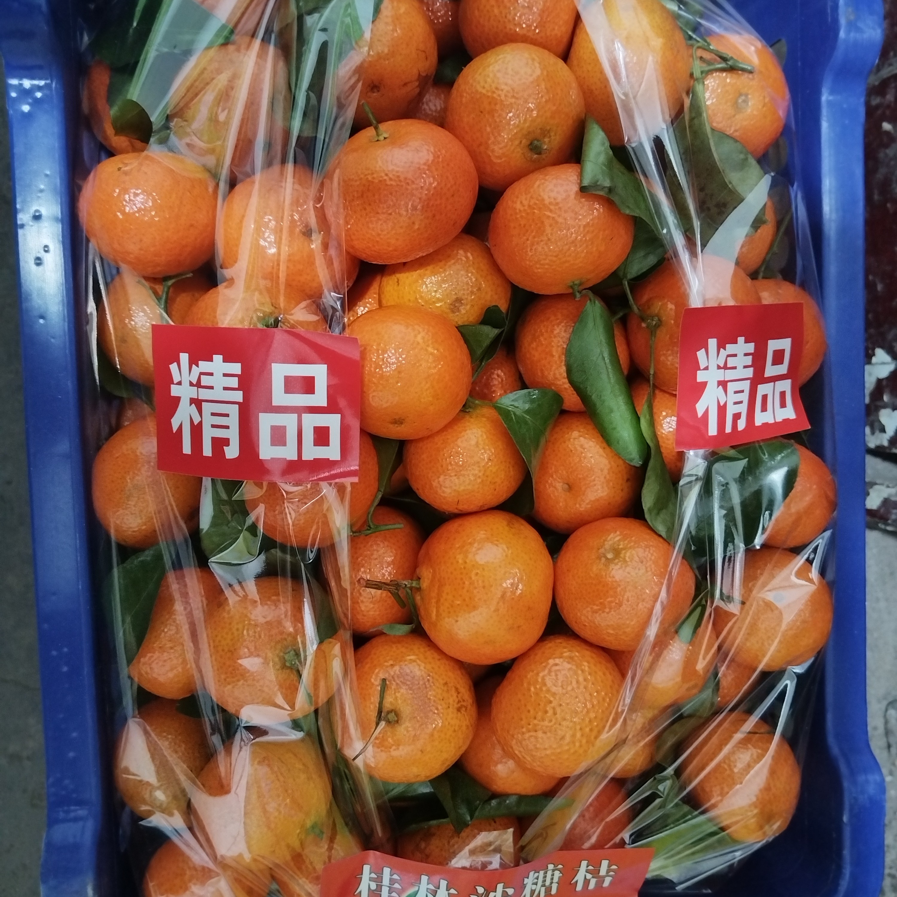 超甜沙糖桔     9斤装