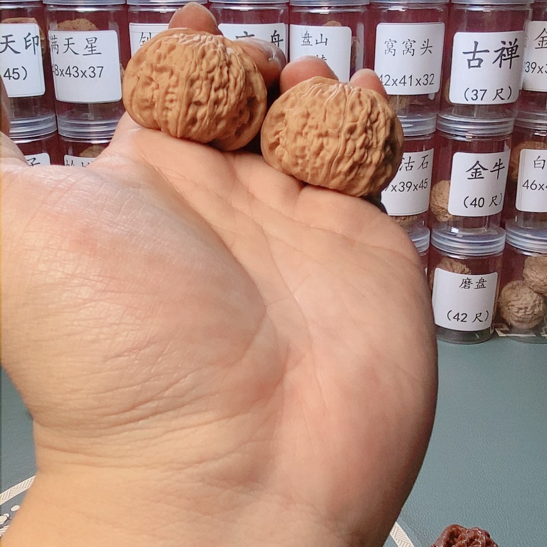 40尺寸全品白狮子核桃