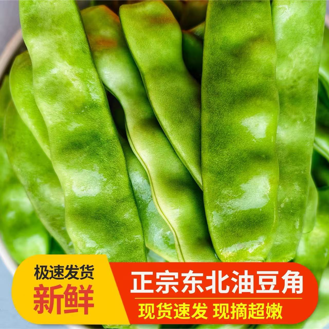 东北大油豆  油豆角 牛粪鸡粪种植 农家大地自产 现摘现发