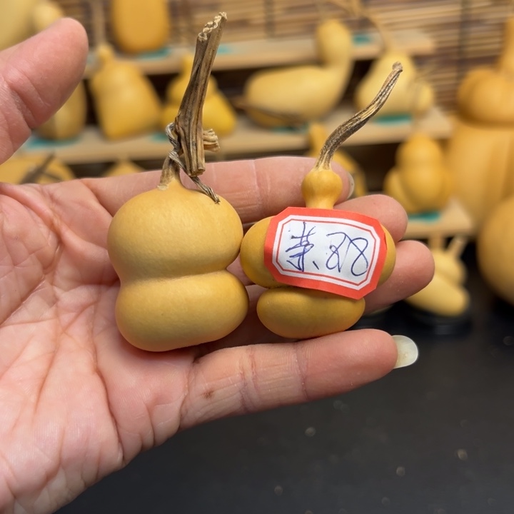 茉***?葫芦葫芦葫芦葫芦葫芦葫芦