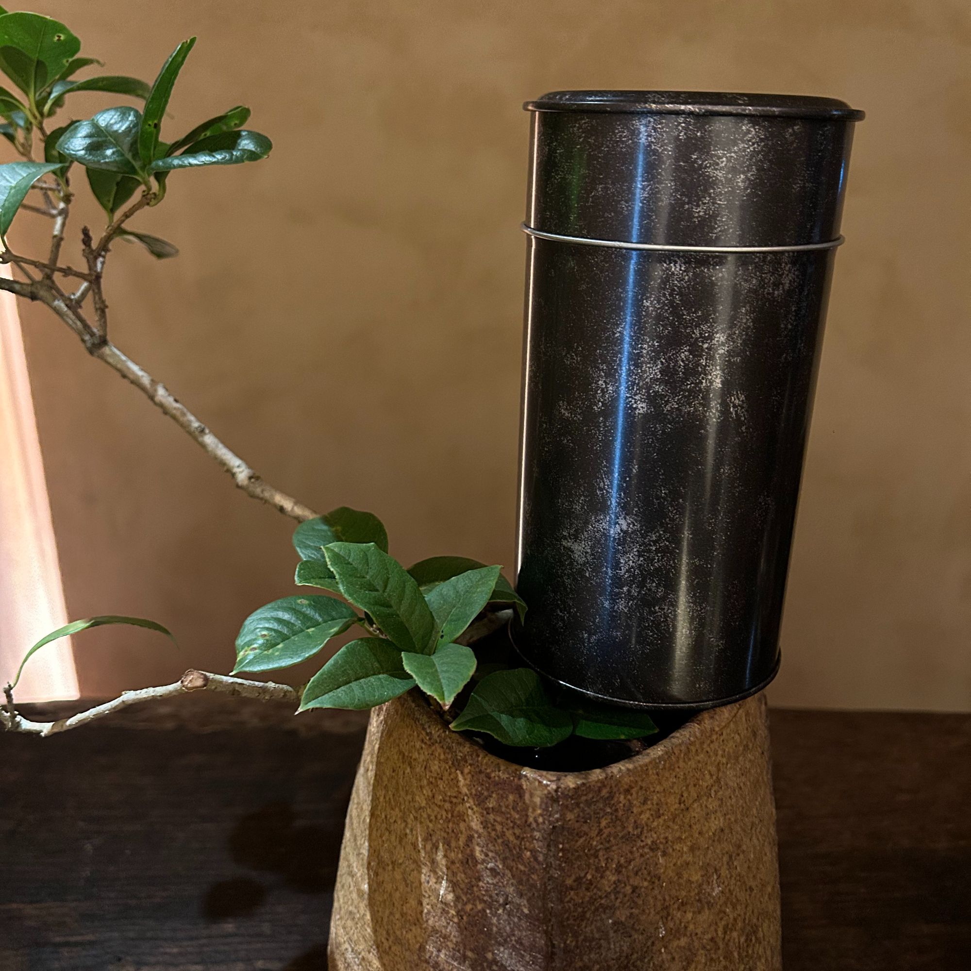 合合岩茶气100g罐装