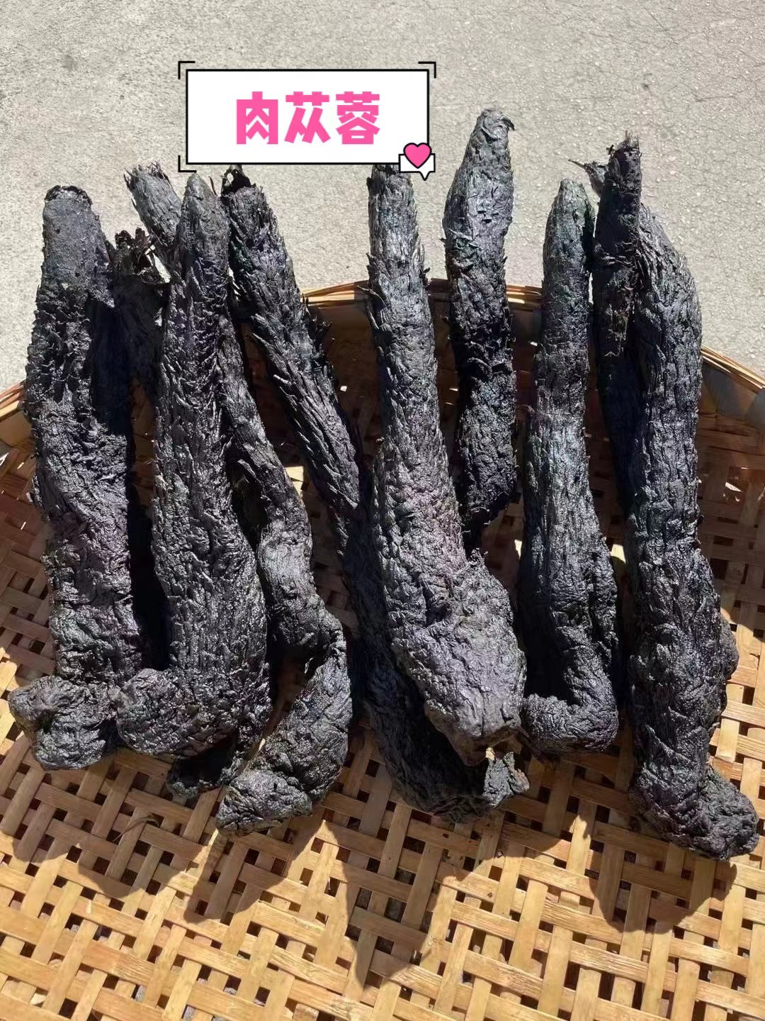 内蒙古阿拉善原生态肉苁蓉（可切片）