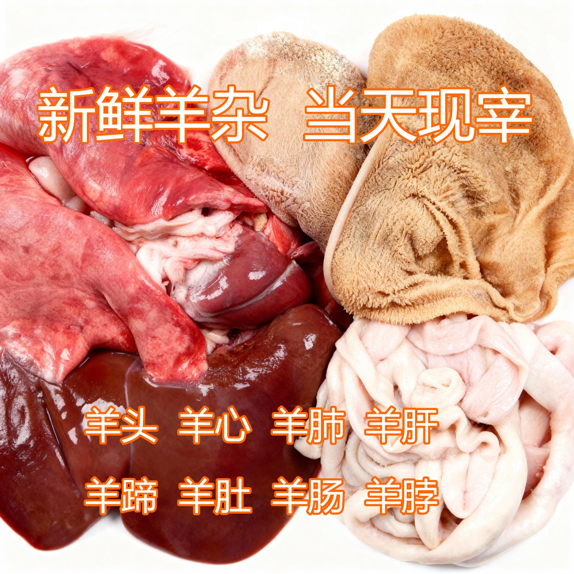 【羊杂】羊头1个 羊心 羊肺 羊肝 羊蹄 羊肚 羊肠1套