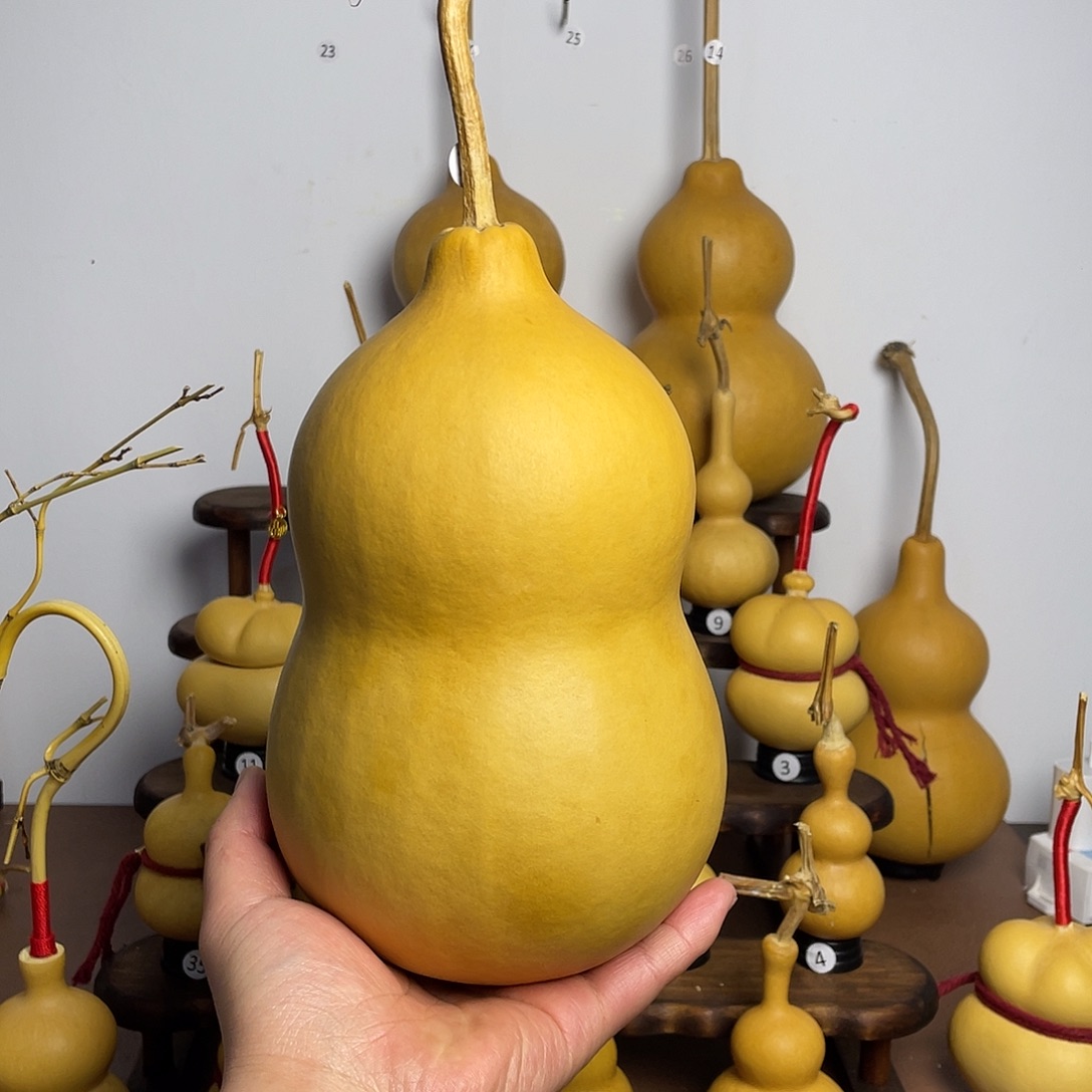 葫芦葫芦葫芦葫芦