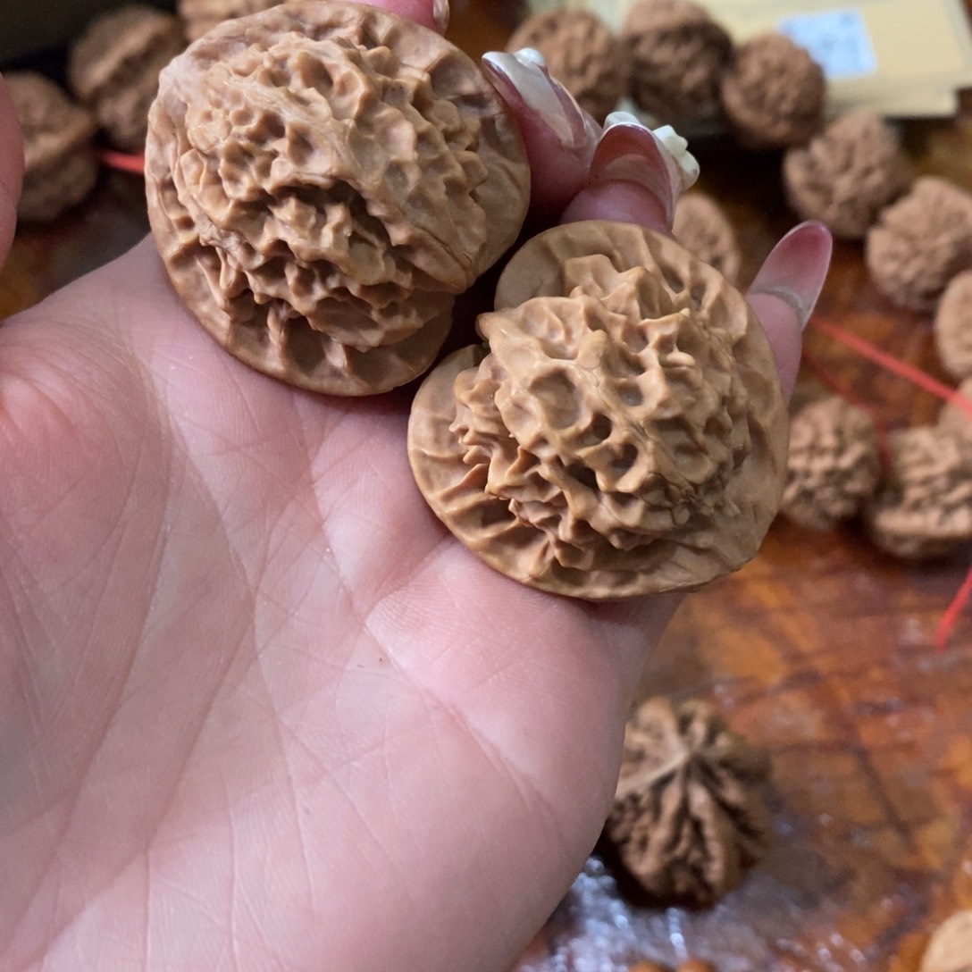 优**风秦岭野生核桃金公子