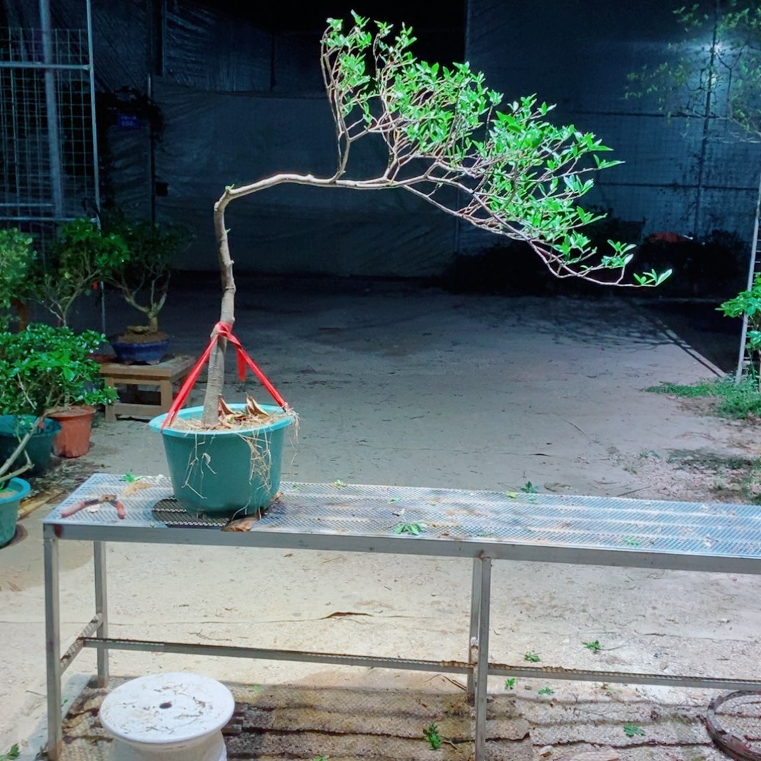 用***0感谢您对我工作支持与配合
