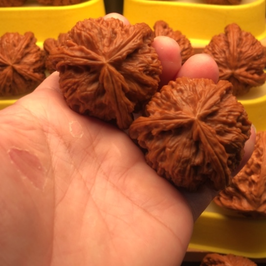 吉***祥核桃核桃核桃核桃