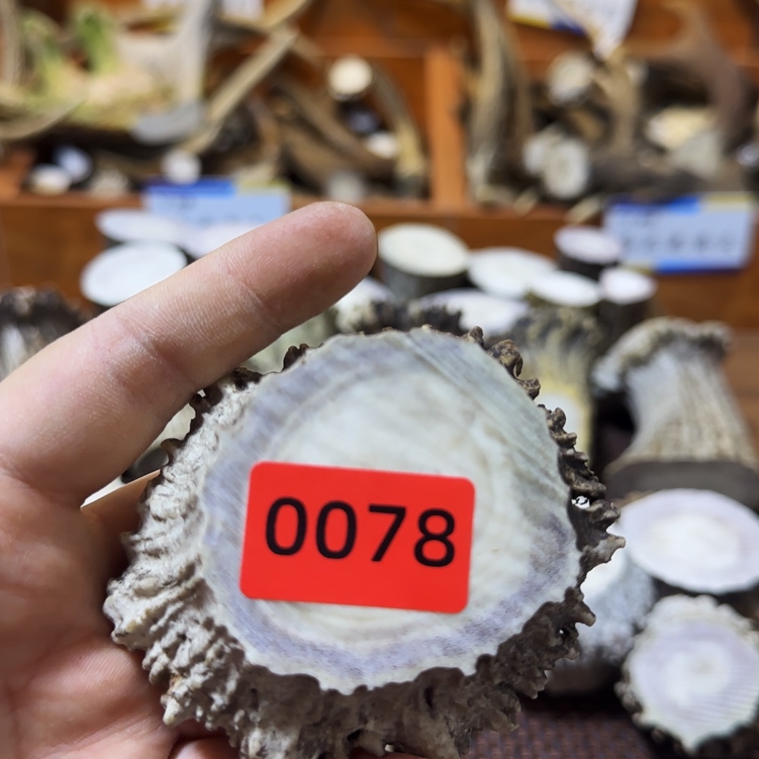 鹿骨手串/手链角帽0078