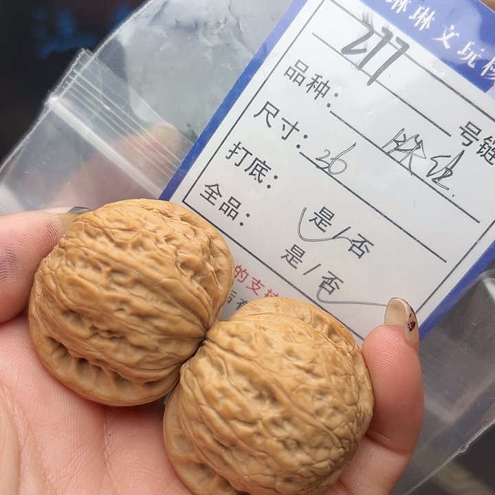 文玩核桃吊坠核桃树277