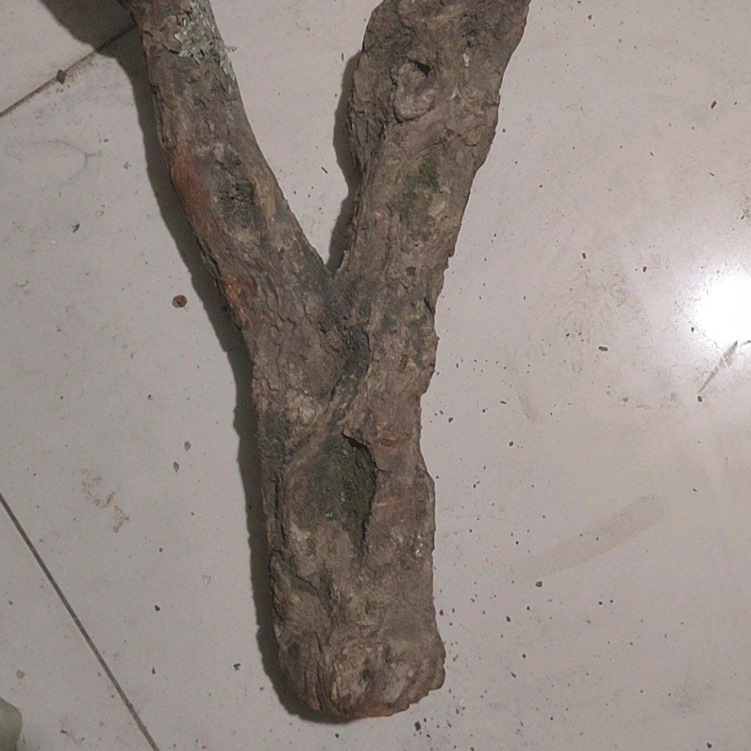 火琉璃原杈，随形摆件