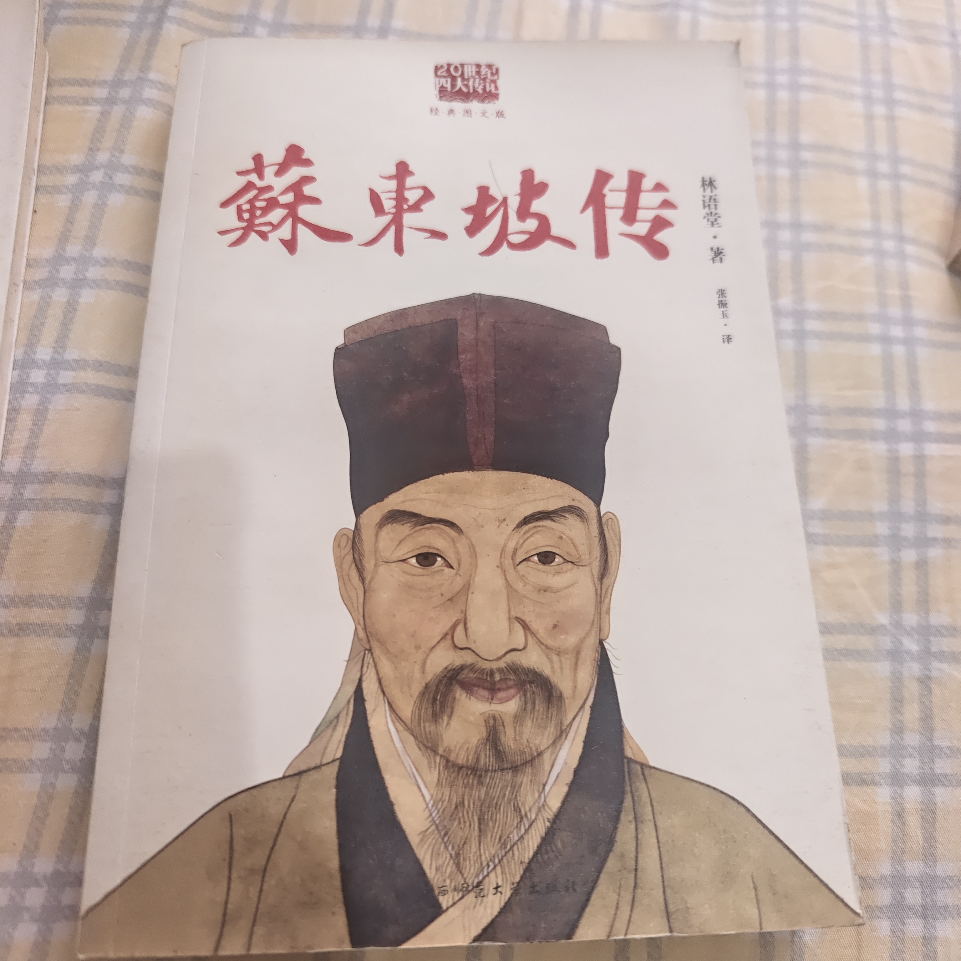 苏东坡传 瑕疵图书 一单一拍