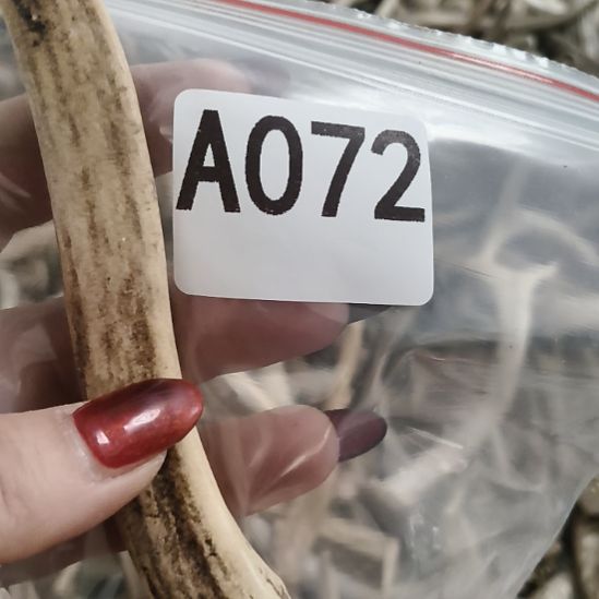 邓***杰鹿角鹿角鹿角鹿角鹿角