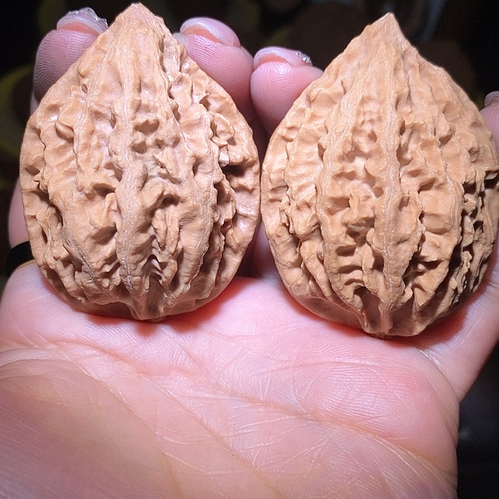 文玩核桃把件东北野生楸子小美4 5