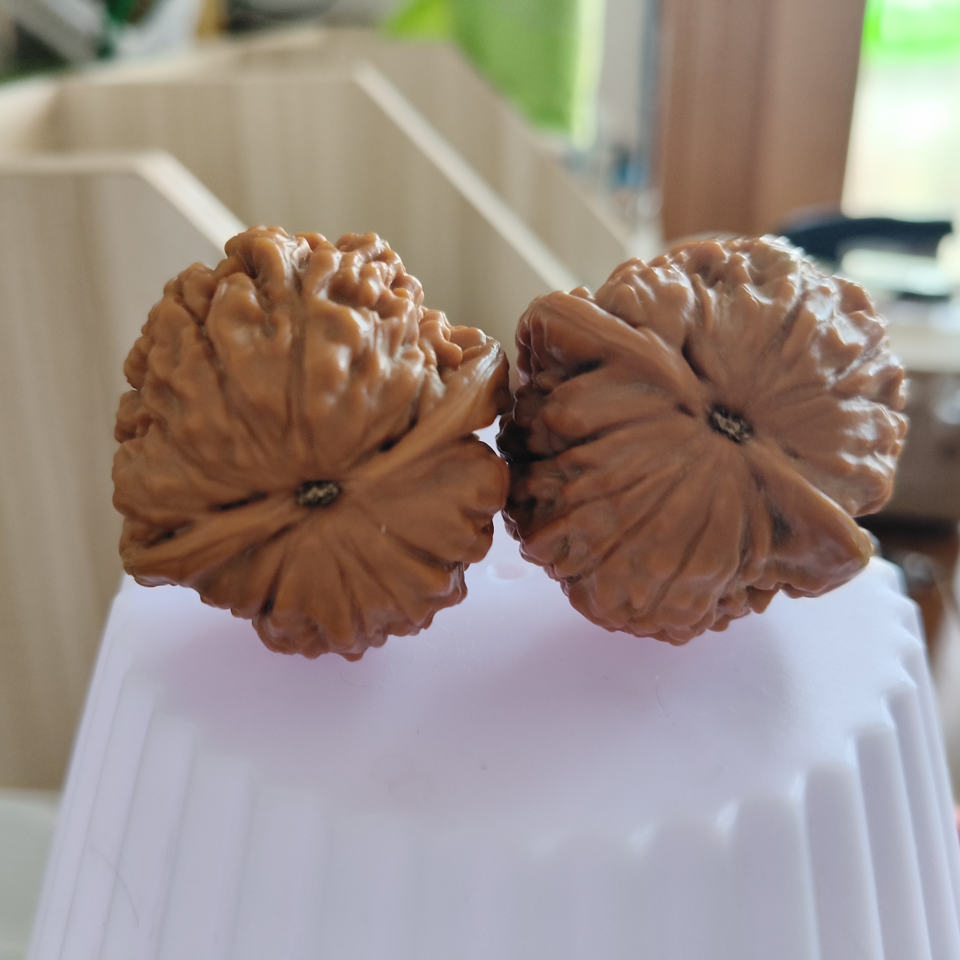 文玩修桃莲花，肚38边37高34 编309骨质硬，桩形好 ，底微修 编296