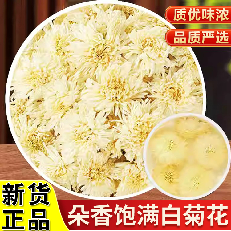 正品白菊花道地精选黄山贡菊搭配枸杞泡水滋补泡茶养生喝