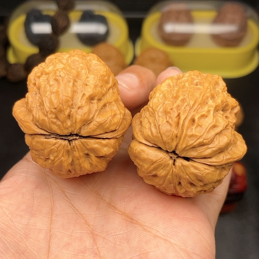 【闪购商品】文玩核桃把件41尺金蟾王