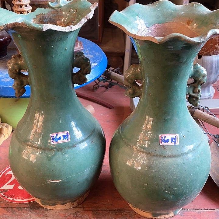 盆栽植物栽培技术