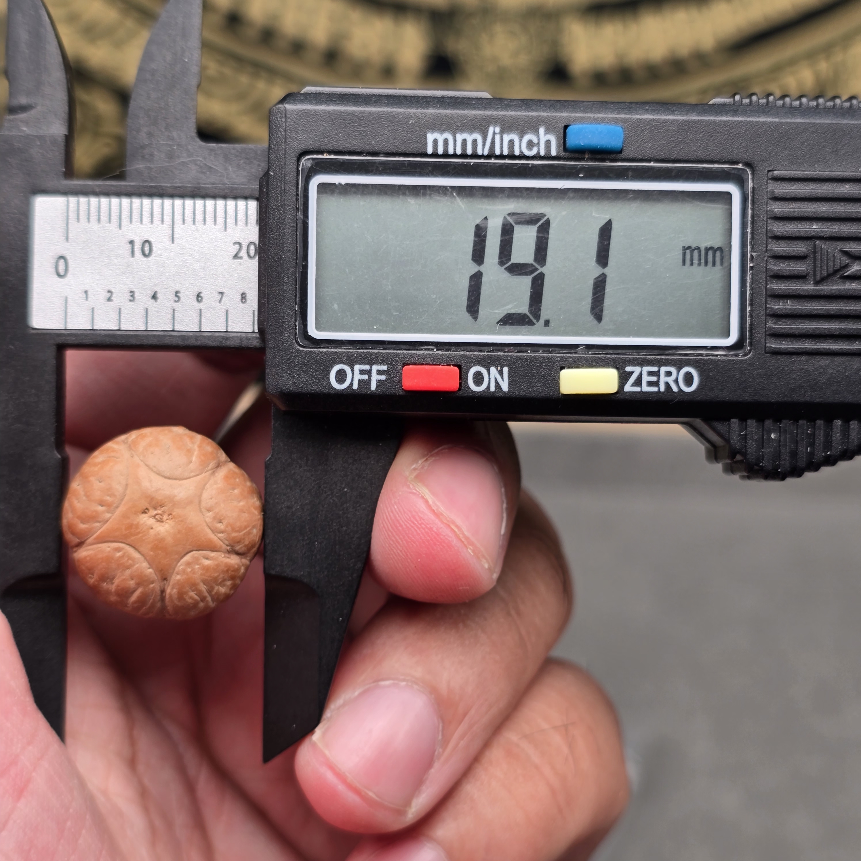 尼泊尔凤眼菩提五星尺寸19一物一图