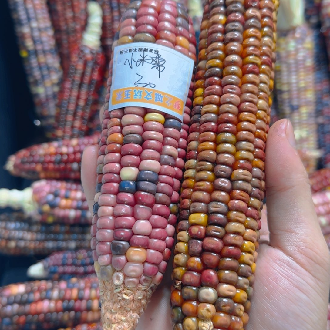 大叶紫檀（黑酸枝木类）小****吗