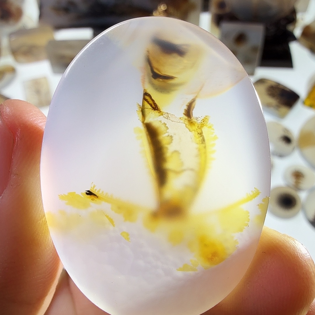 玛瑙/玉髓未镶嵌珠宝半成品