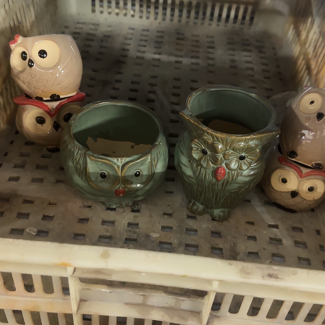 陶瓷6个福利局·自动合并订单·一个个买凑9元发·