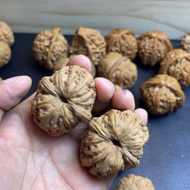 ✎***诗大叶紫檀（黑酸枝木类）