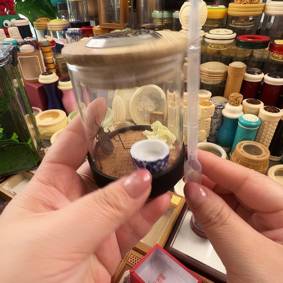 哈哈哈生态罐➕麒麟